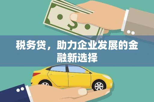 鄱阳税务贷，助力企业发展的金融新选择