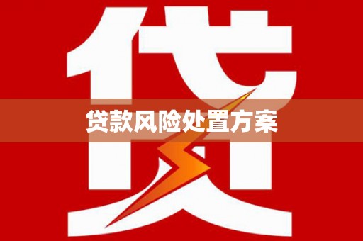 鄱阳贷款风险处置方案