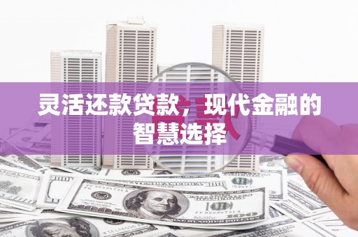 鄱阳灵活还款贷款，现代金融的智慧选择