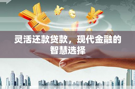 鄱阳灵活还款贷款，现代金融的智慧选择