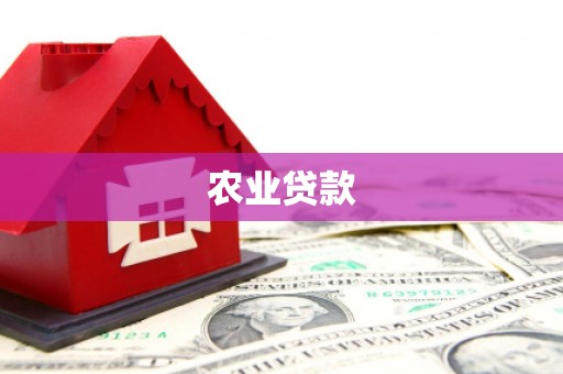 鄱阳农业贷款