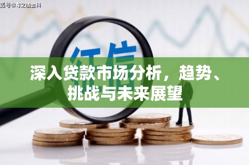 鄱阳深入贷款市场分析，趋势、挑战与未来展望