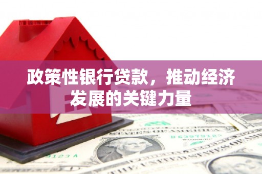 鄱阳政策性银行贷款，推动经济发展的关键力量