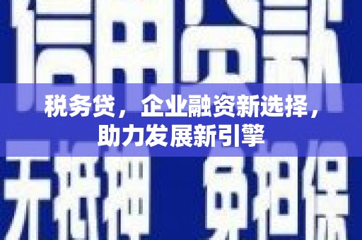 鄱阳税务贷，企业融资新选择，助力发展新引擎