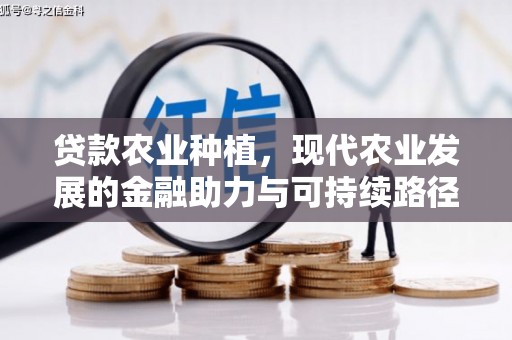 鄱阳贷款农业种植，现代农业发展的金融助力与可持续路径