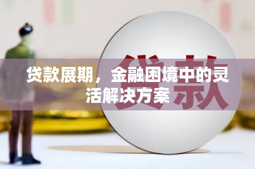 鄱阳贷款展期，金融困境中的灵活解决方案