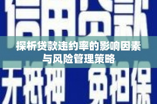 鄱阳探析贷款违约率的影响因素与风险管理策略