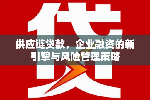 鄱阳供应链贷款，企业融资的新引擎与风险管理策略