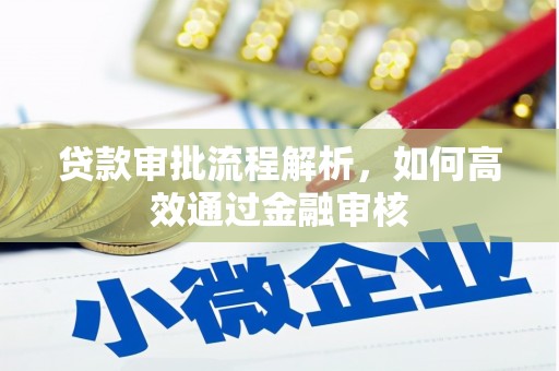 鄱阳贷款审批流程解析，如何高效通过金融审核