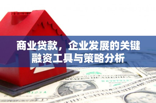 鄱阳商业贷款，企业发展的关键融资工具与策略分析