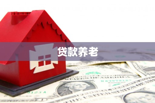 鄱阳贷款养老