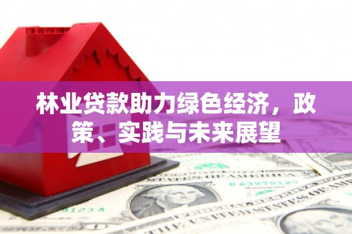 鄱阳林业贷款助力绿色经济，政策、实践与未来展望