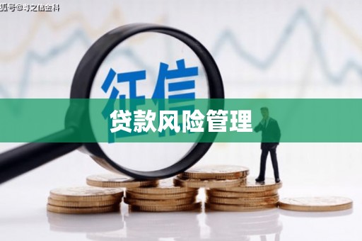 鄱阳贷款风险管理