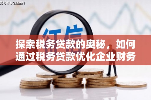 鄱阳探索税务贷款的奥秘，如何通过税务贷款优化企业财务
