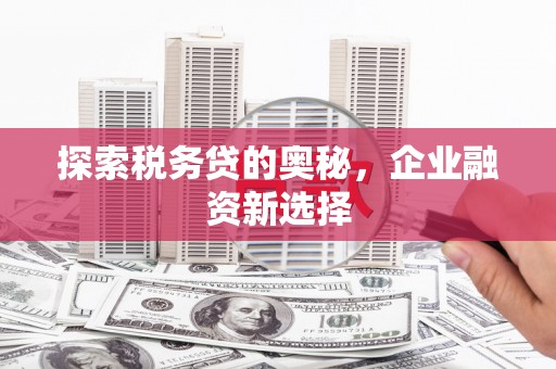 鄱阳探索税务贷的奥秘，企业融资新选择
