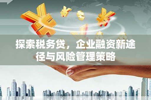 鄱阳探索税务贷，企业融资新途径与风险管理策略