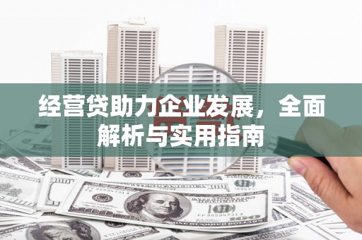 鄱阳经营贷助力企业发展，全面解析与实用指南