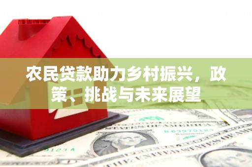 鄱阳农民贷款助力乡村振兴，政策、挑战与未来展望