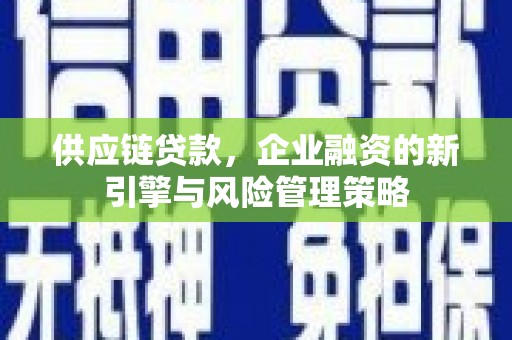 鄱阳供应链贷款，企业融资的新引擎与风险管理策略