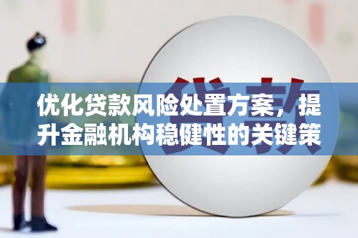 鄱阳优化贷款风险处置方案，提升金融机构稳健性的关键策略