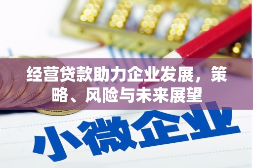 鄱阳经营贷款助力企业发展，策略、风险与未来展望
