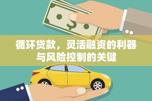 鄱阳循环贷款，灵活融资的利器与风险控制的关键