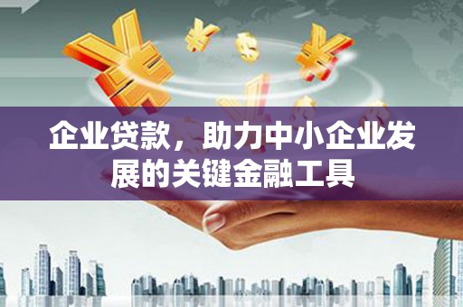鄱阳企业贷款，助力中小企业发展的关键金融工具
