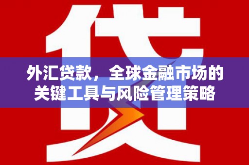 鄱阳外汇贷款，全球金融市场的关键工具与风险管理策略