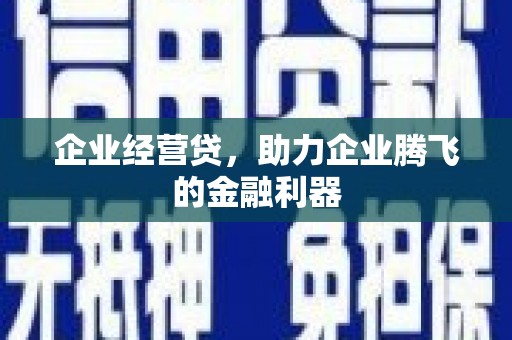 鄱阳企业经营贷，助力企业腾飞的金融利器
