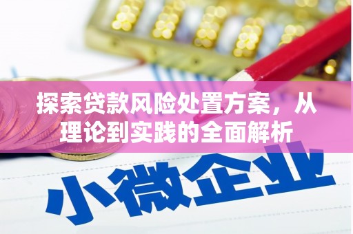 鄱阳探索贷款风险处置方案，从理论到实践的全面解析