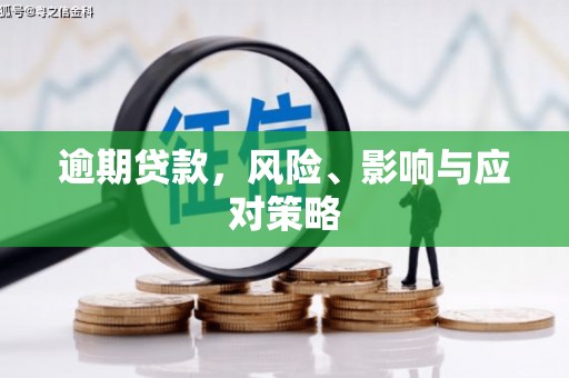 鄱阳逾期贷款，风险、影响与应对策略