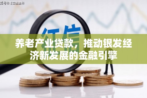 鄱阳养老产业贷款，推动银发经济新发展的金融引擎