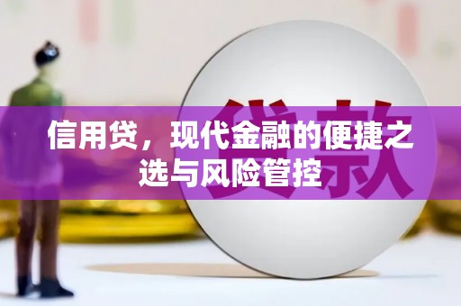 鄱阳信用贷，现代金融的便捷之选与风险管控