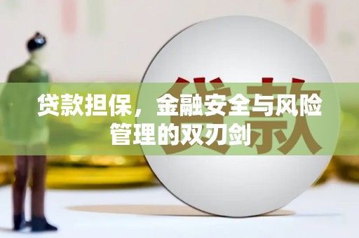 鄱阳贷款担保，金融安全与风险管理的双刃剑