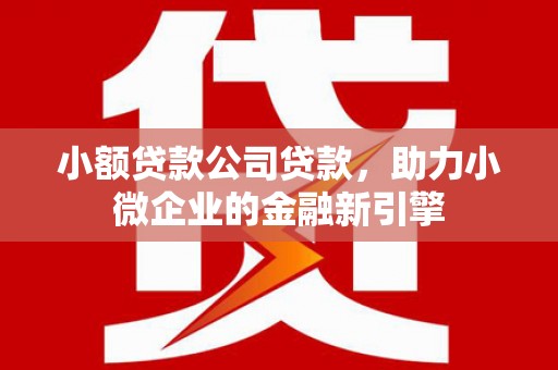 鄱阳小额贷款公司贷款，助力小微企业的金融新引擎
