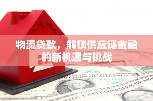 鄱阳物流贷款，解锁供应链金融的新机遇与挑战
