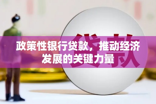 鄱阳政策性银行贷款，推动经济发展的关键力量