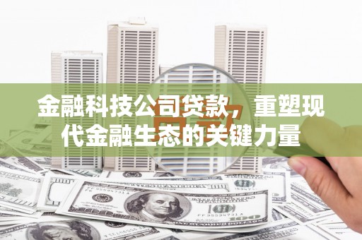 鄱阳金融科技公司贷款，重塑现代金融生态的关键力量