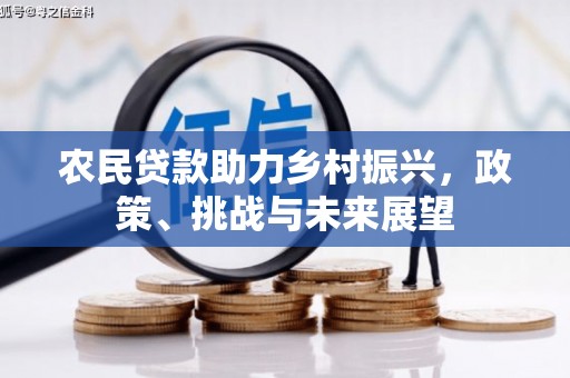 鄱阳农民贷款助力乡村振兴，政策、挑战与未来展望