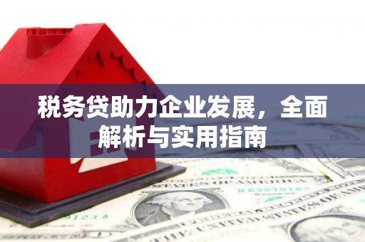 鄱阳税务贷助力企业发展，全面解析与实用指南