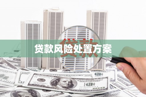 鄱阳贷款风险处置方案