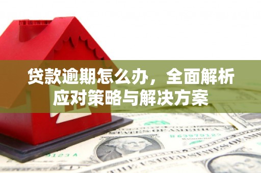 鄱阳贷款逾期怎么办，全面解析应对策略与解决方案