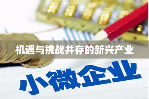 鄱阳机遇与挑战并存的新兴产业