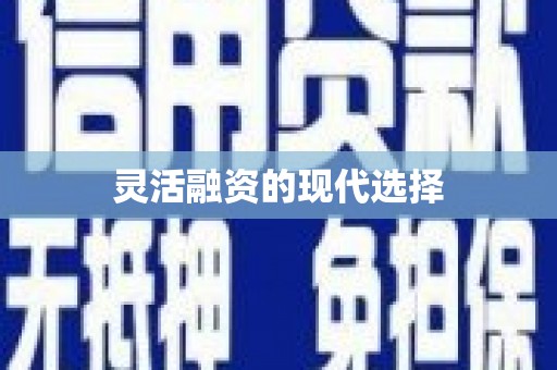 鄱阳灵活融资的现代选择