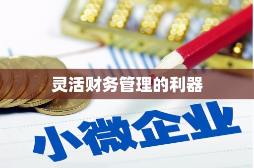 鄱阳灵活财务管理的利器