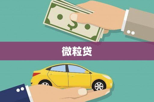 鄱阳微粒贷