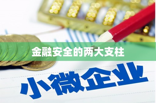 鄱阳金融安全的两大支柱