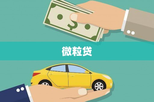 鄱阳微粒贷