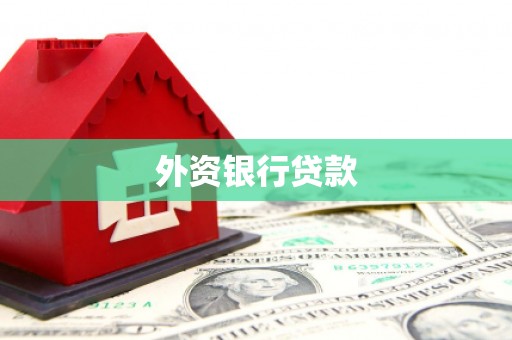 鄱阳外资银行贷款
