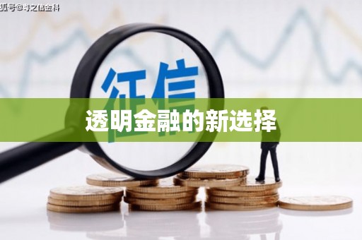 鄱阳透明金融的新选择